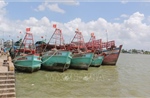 Khắc phục 'thẻ vàng' IUU: Số hóa dữ liệu, siết chặt quản lý tàu cá 