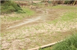 El Nino đạt cường độ mạnh đến rất mạnh - cần kịp thời ứng phó
