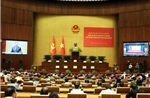 Thống nhất nhận thức, nắm vững điểm mới và mối quan hệ hữu cơ giữa các nghị quyết, chỉ thị của Bộ Chính trị