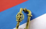Động thái bất ngờ của Nga sau quyết định cấm xuất khẩu xăng dầu toàn diện
