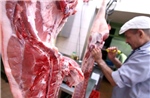 Trung Quốc nhắm vào thịt lợn từ EU để trả đũa việc Brussels tăng thuế ô tô điện