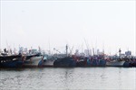 Ứng phó với bão Noru: Trên 2.630 phương tiện tàu, thuyền của Khánh Hòa đã vào neo đậu