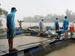 Kinh nghiệm nuôi thủy sản an toàn trong mùa mưa bão
