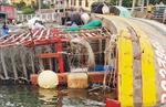 Quảng Bình: Hỗ trợ khắc phục hậu quả vụ tàu cá bị lật chìm khi đang neo đậu