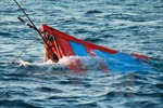 Tìm kiếm thuyền viên tàu cá mất tích trên vùng biển Cà Mau