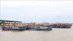Nam Định: Chủ động thông báo cho các tàu thuyền trên biển vào nơi tránh trú 