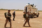 Đức đình chỉ hầu hết hoạt động quân sự tại Mali