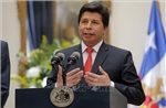 Peru kết án hơn 11 năm tù đối với cựu Tổng thống Pedro Castillo vì tội nổi loạn