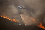 Tây Ban Nha: Vụ cháy rừng đầu tiên trong năm gây thiệt hại nặng nề