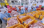 An Giang ước xuất siêu gần 237 triệu USD