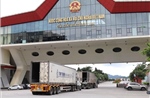 Phát hiện gần 15.000 sản phẩm có dấu hiệu xâm phạm quyền sở hữu trí tuệ