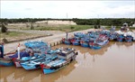 Quảng Bình quyết liệt chống khai thác thủy sản trái phép