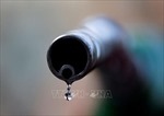 Giá dầu thế giới đi xuống trong tuần qua