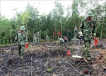 Hợp tác quốc tế khắc phục hậu quả bom mìn tại ba tỉnh của Việt Nam