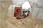 Xung đột Hamas - Israel: Liêp hợp quốc hối thúc lập tức ngừng bắn để viện trợ nhân đạo