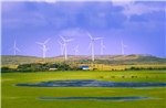 Đầu tư vào năng lượng tái tạo ở Australia ngày càng tăng 