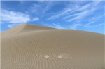 Du khách thích thú trải nghiệm đồi cát Phương Mai 