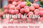 Bắc Giang xuất khẩu vải thiều thành công vào nhiều thị trường &#39;khó tính&#39;
