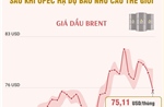 Giá dầu thế giới tiếp tục giảm sau khi OPEC hạ dự báo nhu cầu thế giới