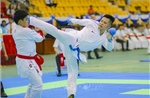 Khoảng 500 vận động viên tranh tài tại Giải vô địch Karate Quốc gia lần thứ 33