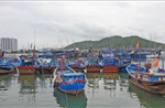  Khánh Hòa giám sát chặt tàu cá, xử lý nghiêm vi phạm IUU
