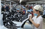 Các doanh nghiệp Israel tăng cường tìm kiếm nguồn cung cấp, trong đó có từ Việt Nam