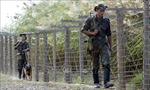 Đấu súng tại biên giới Tajikistan - Kyrgyzstan