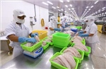 Cần Thơ đặt mục tiêu có thêm khoảng 300 doanh nghiệp thành lập mới/năm