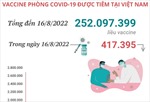 Hơn 252,09 triệu liều vaccine phòng COVID-19 đã được tiêm tại Việt Nam