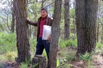Người thương binh gần 20 năm đấu tranh cho quyền lợi từ trồng rừng