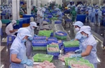 Điểm tin kinh tế Việt Nam nổi bật ngày 30/7/2026