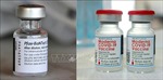 Mỹ cấp phép vaccine ngừa COVID-19 cải tiến của Moderna và Pfizer cho trẻ từ 6 tháng tuổi