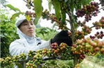 Không còn thời gian &#39;chần chừ&#39; để thực hiện mục tiêu phát triển bền vững