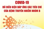 Thủ tướng: COVID-19 đủ điều kiện đáp ứng các tiêu chí của bệnh truyền nhiễm nhóm B
