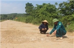 Thấp thỏm nỗi lo từ những tuyến đê xuống cấp ở Thanh Hóa