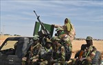 Tấn công thánh chiến tại Niger khiến 12 binh sĩ tử vong