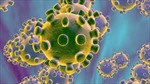 Virus Metapneumovirus gây viêm phổi gia tăng mạnh ở Australia