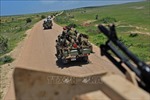 Quân đội Somalia bắt giữ thủ lĩnh cấp cao của Al-Shabaab