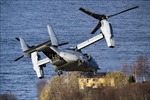 Mỹ: Sẽ dỡ bỏ lệnh cấm bay đối với máy bay quân sự Osprey 
