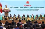 Thủ tướng Chính phủ đồng ý tổ chức Hội nghị đối thoại với nông dân năm 2024