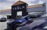 Hãng xe điện Tesla sẽ ra mắt nhiều mẫu xe mới sớm hơn dự kiến