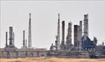 UAE tăng công suất sản xuất dầu thô trước thềm cuộc họp của OPEC