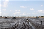 Viện Nghiên cứu Lúa gạo quốc tế quan tâm tới Đề án 1 triệu ha lúa chất lượng cao
