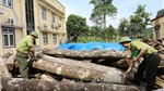 Thái Nguyên: Võ Nhai bảo vệ rừng từ gốc