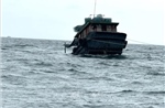 Kịp thời cứu ba ngư dân gặp nạn trên vùng biển Cô Tô