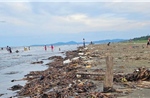 Bãi biển huyện Diễn Châu (Nghệ An) bị &#39;bức tử&#39; vì rác thải