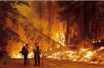 Mỹ: Cháy rừng lan rộng tại California khiến trên 1.000 người phải sơ tán