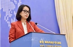 Việt Nam quan ngại sâu sắc trước thông tin về vụ việc tại khu vực Bãi Cỏ Mây