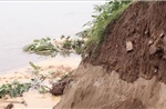 Phú Thọ: Xử lý khẩn cấp sự cố sạt lở bờ sông Đà tại xã Dân Quyền