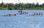 Giải Đua thuyền Rowing, Canoeing Vô địch U19, U23 và Vô địch Đông Nam Á năm 2024: Ngày thi đấu thứ 2